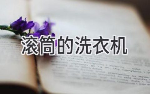 洗衣机中的“贵族”：揭秘滚筒洗衣机的优势与真相