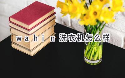 wahin洗衣机怎么样