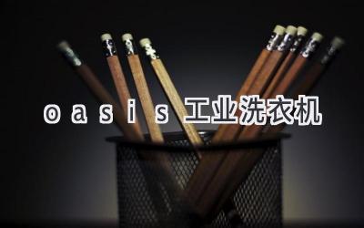 oasis工业洗衣机