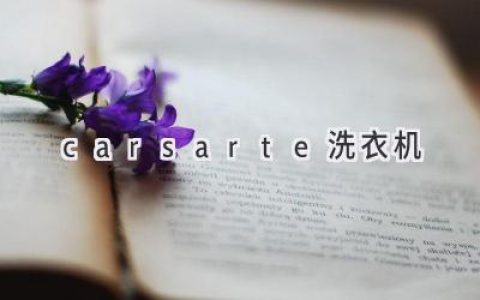 Carsarte洗衣机：智能科技与便捷洗涤的完美结合