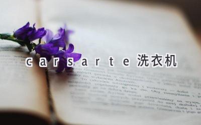 carsarte洗衣机