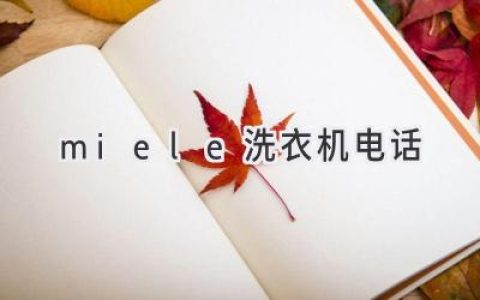 顶级品质的呵护：Miele洗衣机的专属服务