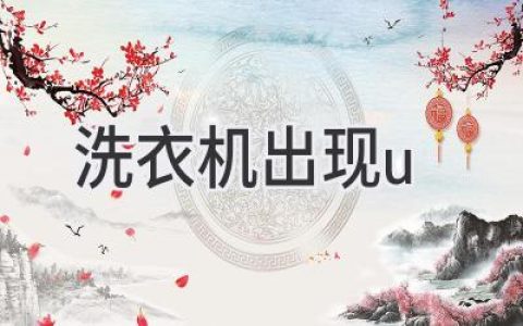 洗衣机显示U：故障解析及维修指南