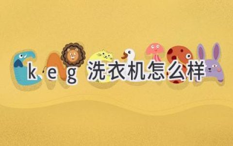 体验未来洗涤：颠覆传统，探索更智能、更高效的洗衣方式