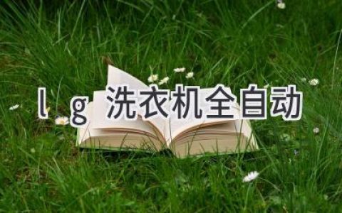 告别繁琐，解放双手：智能洗衣新体验