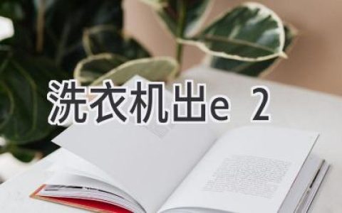 洗衣机显示E2故障代码：原因解析及解决方案