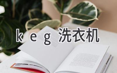 keg 洗衣机