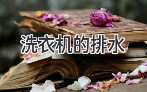 洗衣机排水系统大揭秘：故障排查与清洁保养秘诀