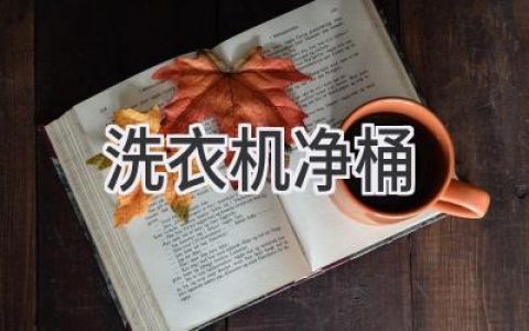 洗衣机净桶深度解析：清洁神器还是鸡肋？