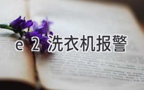 洗衣机显示E2故障代码，别慌！快速解决方法都在这里！