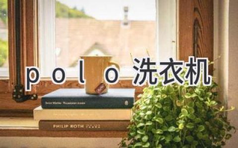 探索智能洗护新体验：Polo洗衣机深度解析