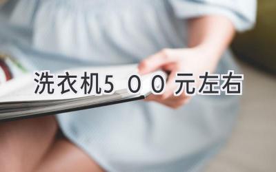 洗衣机500元左右