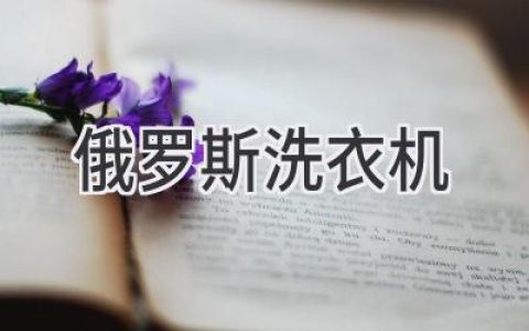 俄罗斯的家电市场：探索欧洲品质与本地品牌的独特魅力