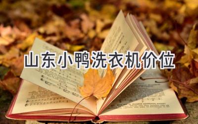 山东小鸭洗衣机价位