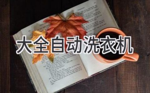 洗衣新体验：解放双手，轻松享受洁净衣物