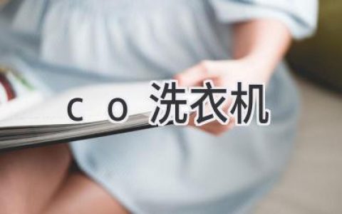 探索智能洗衣新纪元：CO洗衣机如何革新你的衣物护理体验