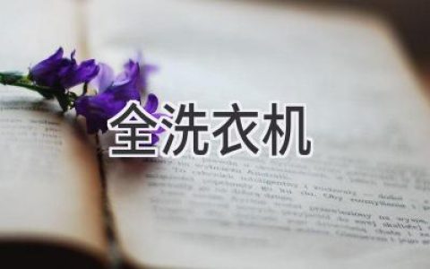 全面解读：洗衣机选购指南，帮你找到最适合的家居伴侣！