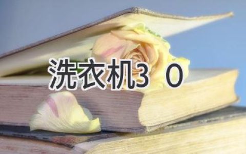 洗衣机选择指南：解密30公斤容量背后的秘密