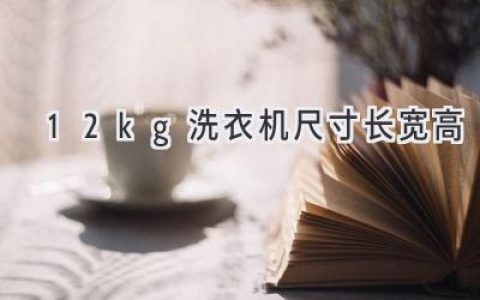 12公斤洗衣机，为你量身打造的完美尺寸