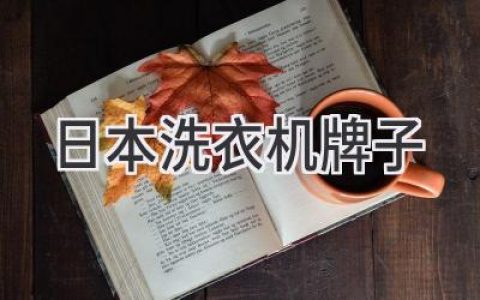 日本顶级洗衣机品牌，洗净衣物，更洗净生活