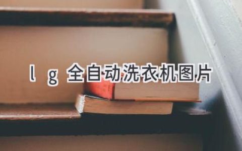 LG全自动洗衣机：科技与便捷的完美融合，衣物洁净触手可及