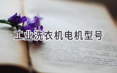 工业洗衣机心脏：电机选型指南，助您洗衣更轻松