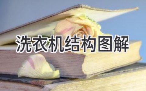 洗衣机内部构造揭秘：从图解中了解工作原理