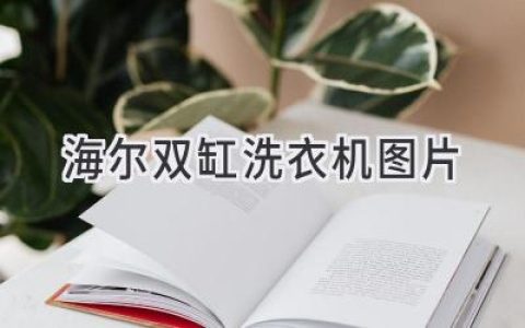 海尔双缸洗衣机：经典设计，高效洗涤，满足您的洗衣需求