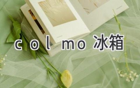 探索冷藏新境界：Colmo 冰箱带给您的智能生活体验