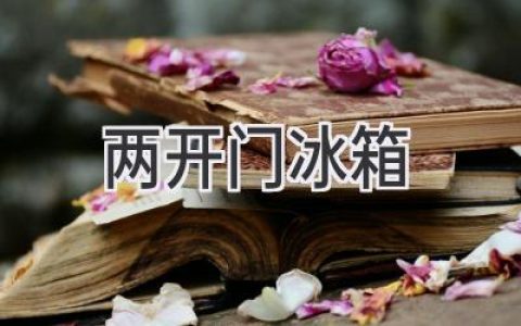 两开门冰箱：你的厨房理想选择