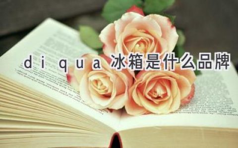 Diqua 冰箱：低调的品质，可靠的选择