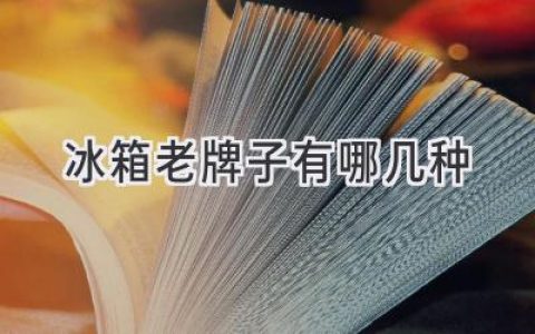 冰箱界的老将们：哪几款值得信赖？