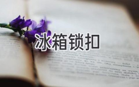 冰箱门锁扣：守护美味，安心生活