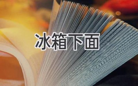 冰箱下方空间利用指南：让你的厨房更整洁高效