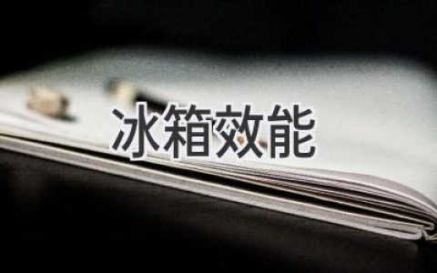 揭秘冰箱的秘密：如何选择最省电又高效的“冷藏宝”