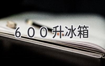 600升冰箱