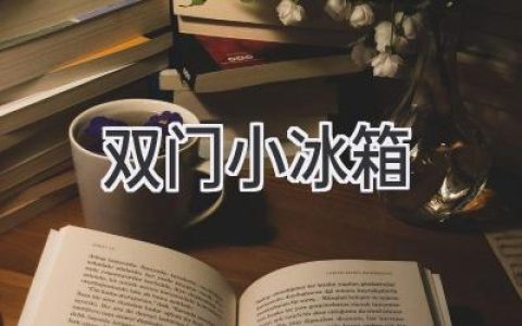 双门小冰箱：节省空间，提升生活品质的最佳选择