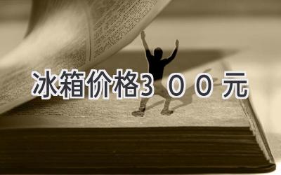 冰箱价格300元