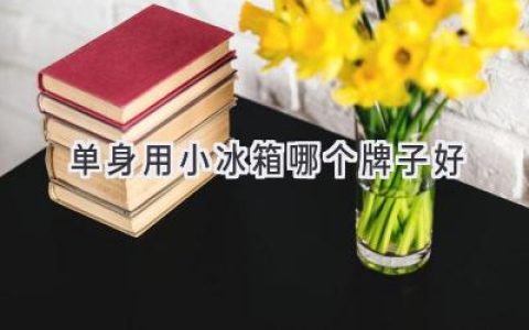 单身公寓的制冷神器：小冰箱选购指南，帮你找到完美伴侣！