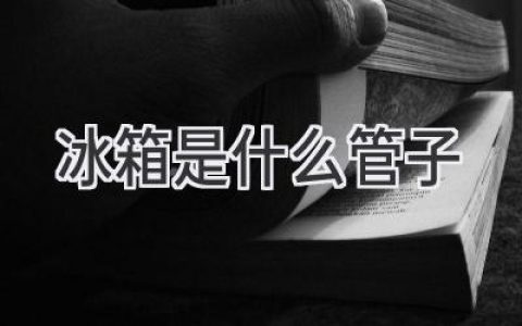 冰箱内部的“血管”：揭秘制冷系统的奥秘