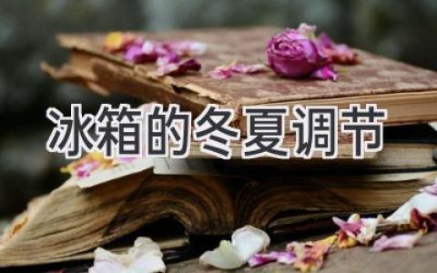 冰箱四季养护指南：冬夏调节，延长使用寿命