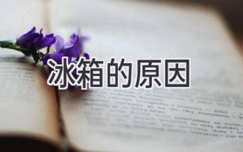 冰箱：食物保鲜的秘密武器，开启美味生活