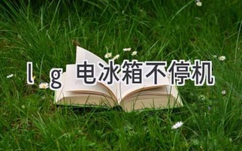 LG冰箱神秘“永动机”？揭秘不停机背后的真相！