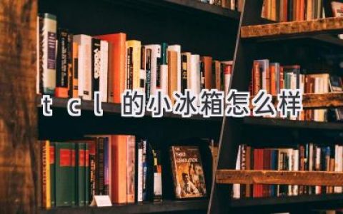 TCL小冰箱：精致生活的小帮手，值得拥有吗？