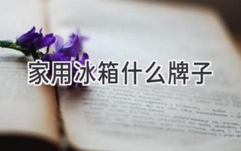 选购指南：哪款冰箱适合你的家庭需求？