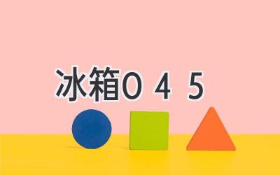 冰箱0.45