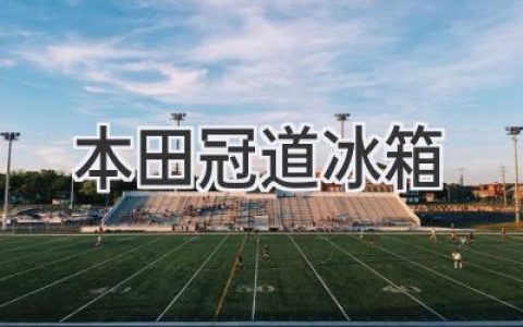 本田冠道：车内空间大，冰箱尺寸能装下吗？