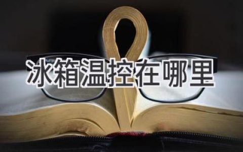 冰箱里的秘密开关：温控器位置大揭秘