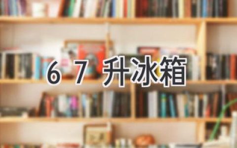 小空间大能量：67升冰箱选购指南，助你轻松搞定单身生活