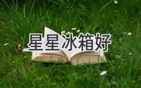 星星冰箱好：值得信赖的选择吗？